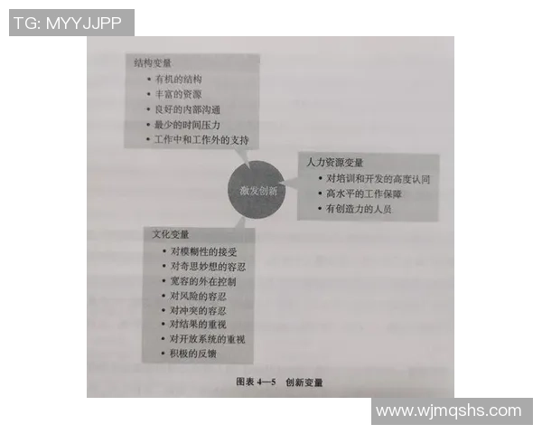 上海篮球队的控制体系与战术解析：提升团队协作与比赛效率的关键策略